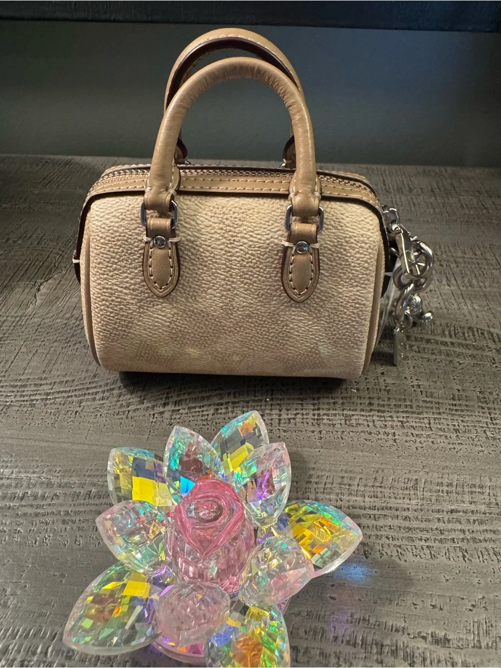 Coach top handle